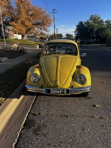 Unknown-Beetle-1973-Yellow-Gray-4