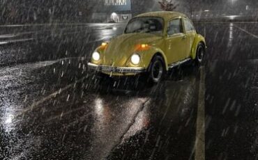 Unknown-Beetle-1973-Yellow-Gray-5