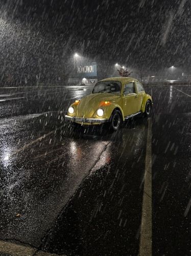 Unknown-Beetle-1973-Yellow-Gray-5