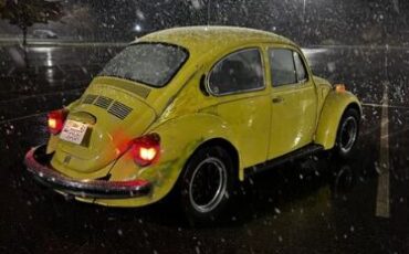 Unknown-Beetle-1973-Yellow-Gray-6