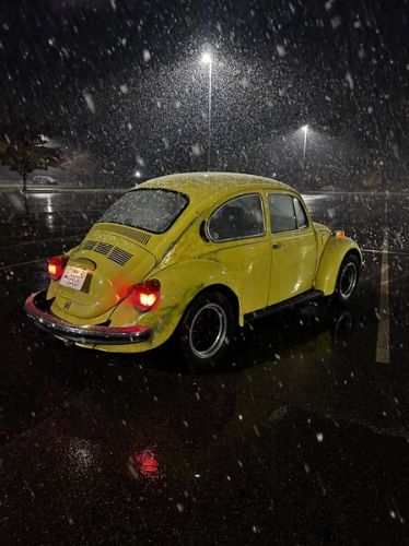 Unknown-Beetle-1973-Yellow-Gray-6