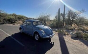 Unknown-Beetle-1974-Baby-Blue-10