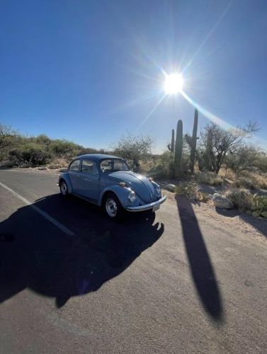 Unknown-Beetle-1974-Baby-Blue-10