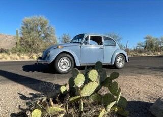 Unknown-Beetle-1974-Baby-Blue-12