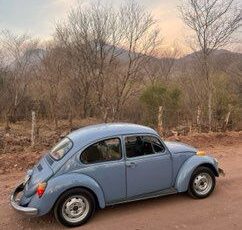 Unknown-Beetle-1974-Baby-Blue-13