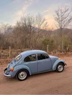 Unknown-Beetle-1974-Baby-Blue-13