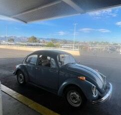 Unknown-Beetle-1974-Baby-Blue-14