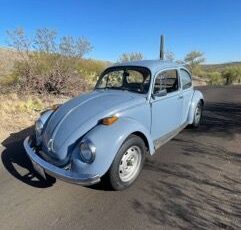 Unknown-Beetle-1974-Baby-Blue-16