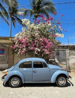 Unknown-Beetle-1974-Baby-Blue-18