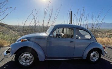Unknown-Beetle-1974-Baby-Blue-19