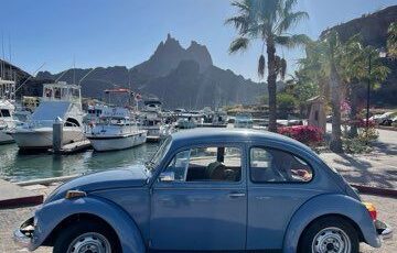 Unknown-Beetle-1974-Baby-Blue-20