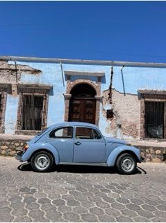 Unknown-Beetle-1974-Baby-Blue-22