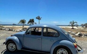 Unknown-Beetle-1974-Baby-Blue-7