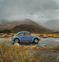 Unknown-Beetle-1974-Baby-Blue-9