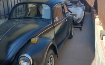 Unknown-Beetle-1974-Black-1