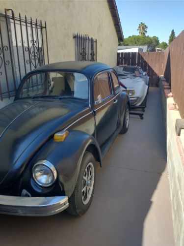 Unknown-Beetle-1974-Black-1