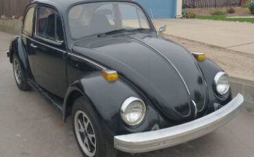 Unknown-Beetle-1974-Black