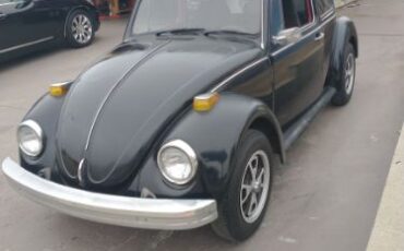 Unknown-Beetle-1974-Black