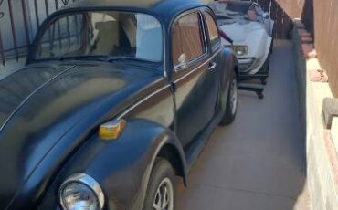 Unknown-Beetle-1974-Black-7