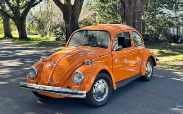 Unknown-Beetle-1974-Orange-Black-1