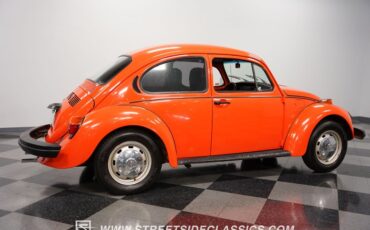 Unknown-Beetle-1974-Orange-Black-12
