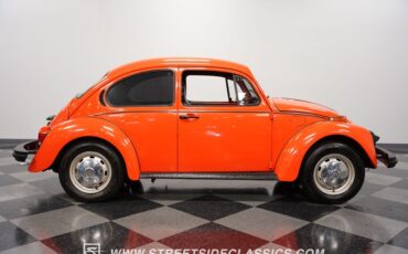 Unknown-Beetle-1974-Orange-Black-13