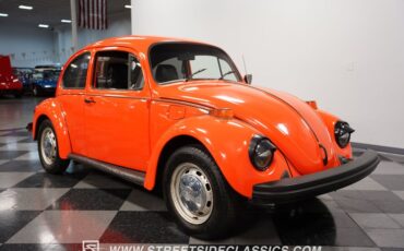 Unknown-Beetle-1974-Orange-Black-15