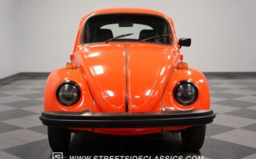 Unknown-Beetle-1974-Orange-Black-17