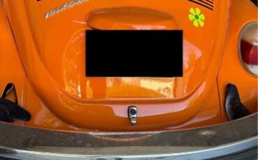 Unknown-Beetle-1974-Orange-Black-2