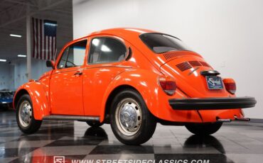 Unknown-Beetle-1974-Orange-Black-24