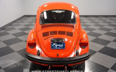 Unknown-Beetle-1974-Orange-Black-26