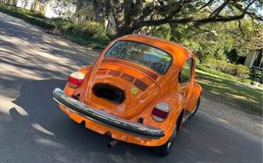 Unknown-Beetle-1974-Orange-Black-3