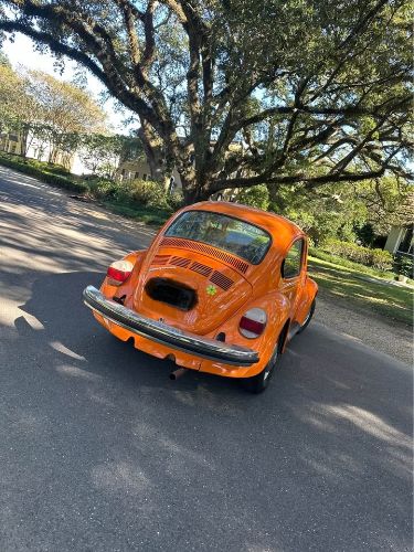 Unknown-Beetle-1974-Orange-Black-3
