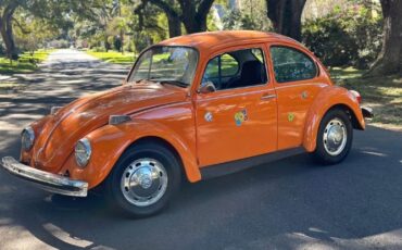 Unknown-Beetle-1974-Orange-Black-4