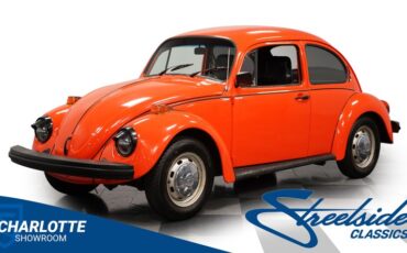 Unknown-Beetle-1974-Orange-Black-49