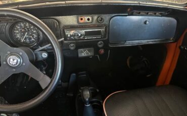 Unknown-Beetle-1974-Orange-Black-6