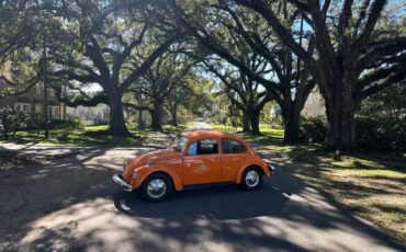 Unknown-Beetle-1974-Orange-Black-8