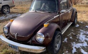 Unknown-Beetle-1974-Red-Gray-1