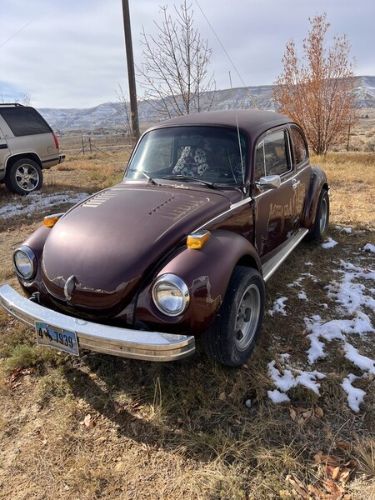 Unknown-Beetle-1974-Red-Gray-1
