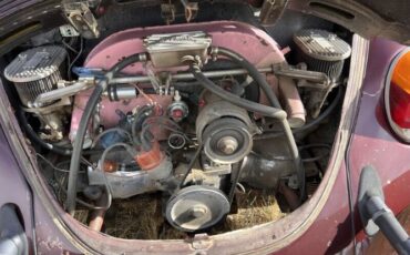 Unknown-Beetle-1974-Red-Gray-2