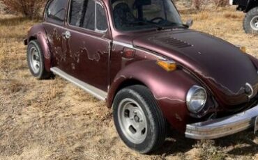 Unknown-Beetle-1974-Red-Gray