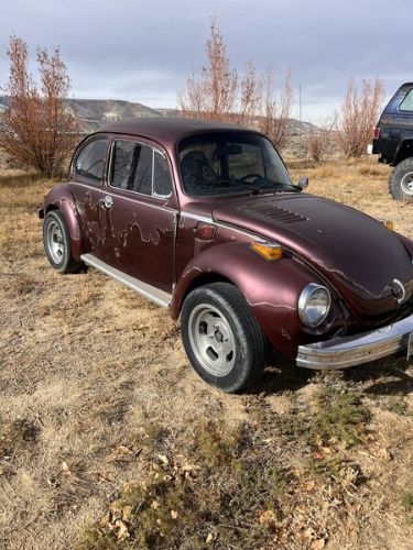 Unknown-Beetle-1974-Red-Gray
