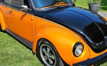 Unknown-Beetle-1974-Sunset-Orange-Black-1