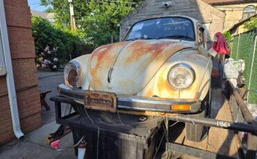 Unknown-Beetle-1975-12