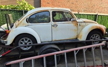 Unknown-Beetle-1975-14