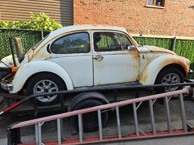 Unknown-Beetle-1975-14