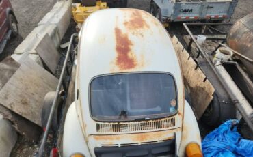 Unknown-Beetle-1975-16