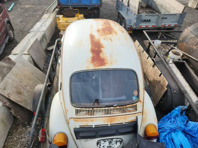 Unknown-Beetle-1975-16