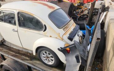 Unknown-Beetle-1975-17