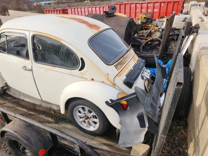 Unknown-Beetle-1975-17